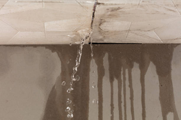 Professional Structural Drying technician working in Warsaw, IN